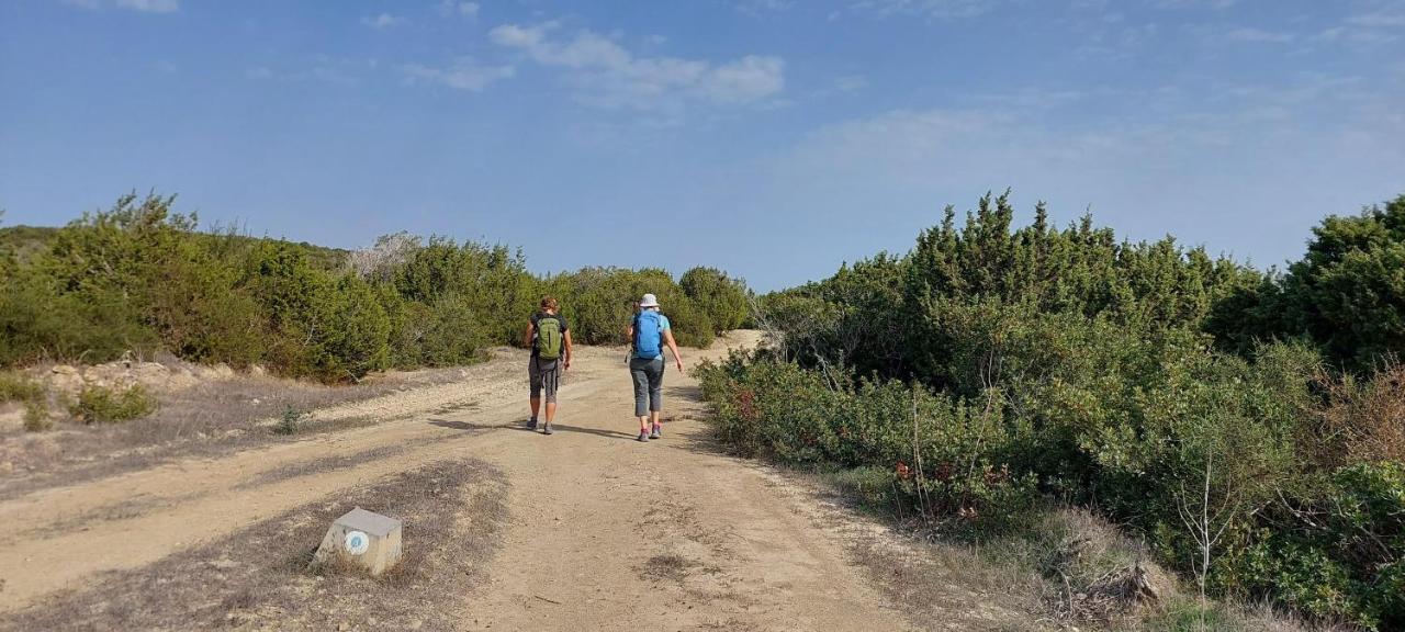 La Medusa Gardens Iskele District  외부 사진