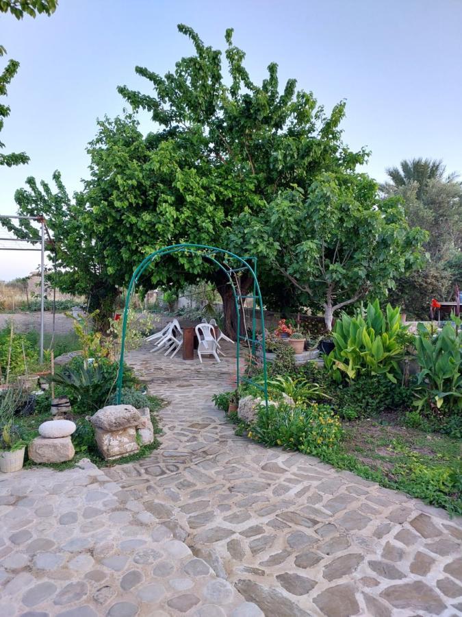 La Medusa Gardens Iskele District  외부 사진
